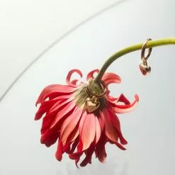 Mango Heart-Shape Earrings -Mango popular store mango 8262 2559046 3