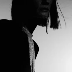 Mango Cascade Crystals Choker Necklace 9 Mango Cascade Crystals Choker Necklace -Mango popular store mango 8962 7782436 4