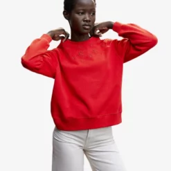 Mango Embroidered Cotton Sweatshirt